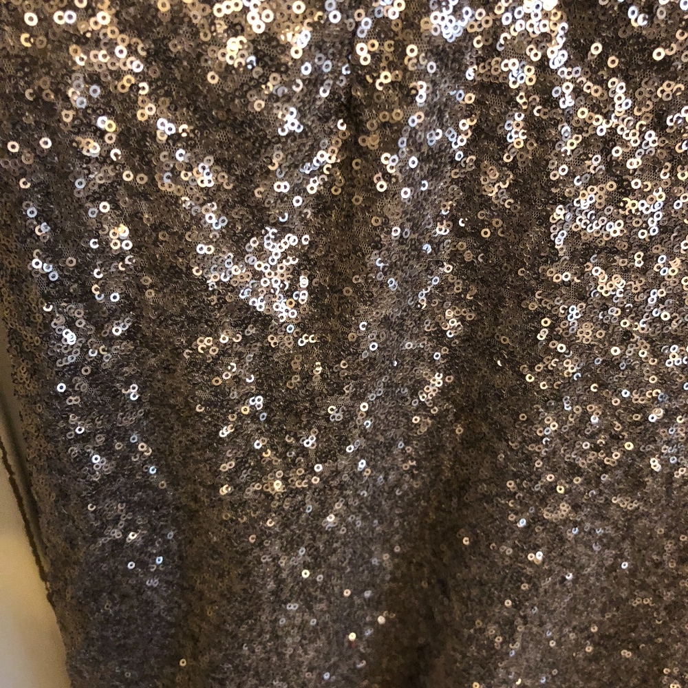 Silver Sequined Skirt - Picture 3 of 5